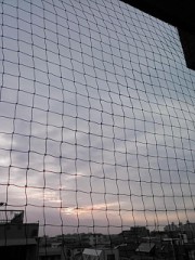 【お題日記】ハロウィンに関すること、何かしましたか？