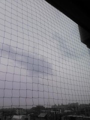 【お題日記】携帯にアクセサリーは付けてる？