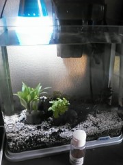 【お題日記】デジカフェ思い出話♪