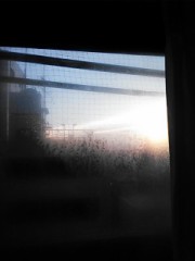 【お題日記】海外旅行の経験