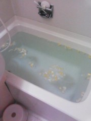 【お題日記】こんな風に告白されたらOKするかも