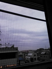 【お題日記】運命を信じますか？