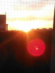 【お題日記】今日は節分。豆まきしますか？