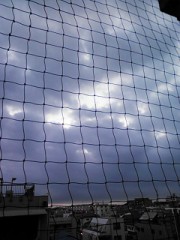 【お題日記】好きな寿司ネタベスト3