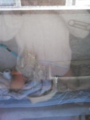 【お題日記】初デートの思い出