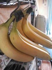 【お題日記】昔に戻れるならいつに戻りたい？