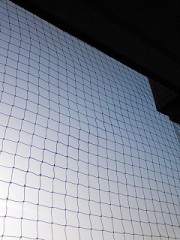 【お題日記】ゴールデンウィークの予定は決めた？