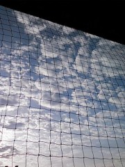 【お題日記】ハマっている食べ物