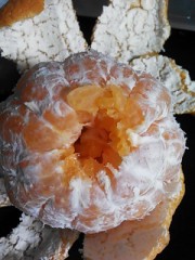 【お題日記】好きなチェーン店