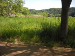 【お題日記】最近走りましたか？