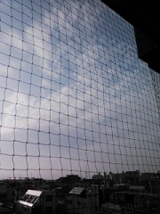 【お題日記】よく読む雑誌はありますか？