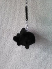 【お題日記】最近注目してる俳優・女優