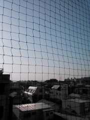 【お題日記】良くやるゲーム教えて！