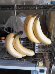 【お題日記】「母は偉大」なエピソード