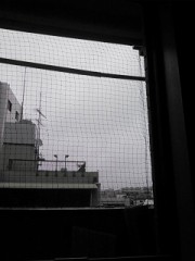 【お題日記】妖精、宇宙人、妖怪などの目撃エピソード