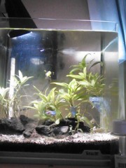 【お題日記】今個人的に注目している事