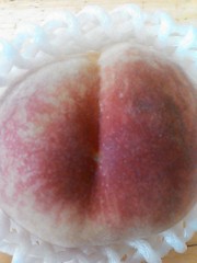 【お題日記】これだけは苦手です