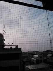 【お題日記】昔は嫌いだったけど今は好きな物