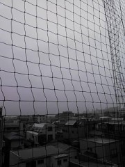 【お題日記】あなたの怖いものってなに？