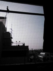 【お題日記】最近おすすめの映画