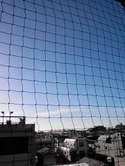 【お題日記】おすすめの虫除けグッズ教えて！