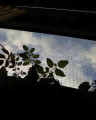 【お題日記】あなたの一番の相談相手はだれ？