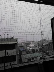 【お題日記】ダイエットしたことある？