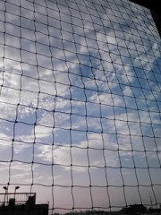 【お題日記】海にまつわる思い出話し