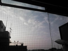 【お題日記】おすすめの食べ歩きグルメ教えて！