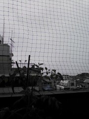 【お題日記】お気に入りのカフェを教えて♪