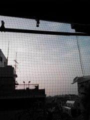 【お題日記】最近気になったニュースは？