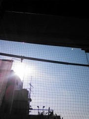 【お題日記】最近買った、コスパ最高なアイテム