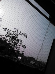 【お題日記】洗濯機は縦型派？ドラム派？