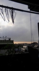 【お題日記】学生の頃得意だった教科は？