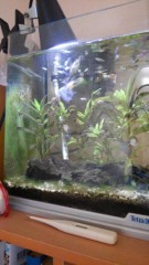 【お題日記】タクシーに関するエピソード