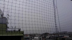 【お題日記】つい癖でやっちゃうこと