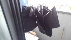 【お題日記】最近お気に入りのテレビ番組は？