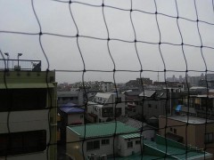 【お題日記】友達にデジカフェのこと話したことある？