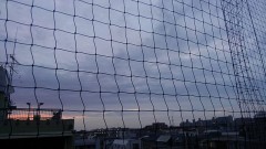 【お題日記】いつでも本音で話してる？