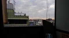 【お題日記】これまでついたことのある大きな嘘は？