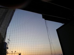 【お題日記】人の優しさが身に沁みた出来事