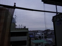 【お題日記】私だけ？こんな健康法