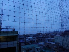 【お題日記】日本のゆるキャラを考えよう