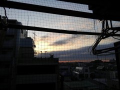 【お題日記】海外にもある花見（桜）スポットを挙げて