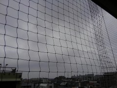 【お題日記】マネキン買いってする？