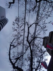 【お題日記】あなたの好きな映画のジャンルは？