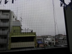 【お題日記】異性の好きな髪型は？