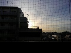 【お題日記】変わった仕事(バイト)の経験ある？