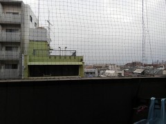 【お題日記】自己紹介をしてみて下さい