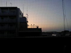 【お題日記】何回も見た映画